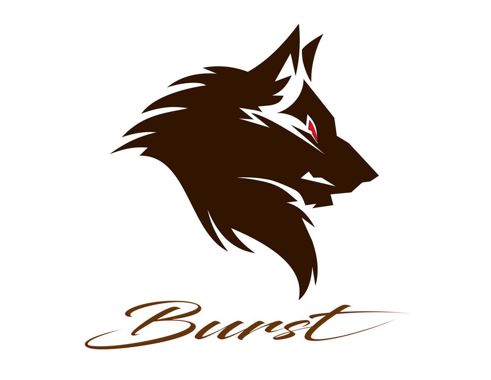 BURST.jpg