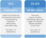 Silver.jpg