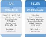 Silver 2.jpg