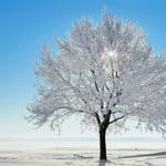 iStock_000022933457Medium2.jpg