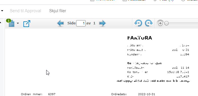 pdf feil.png