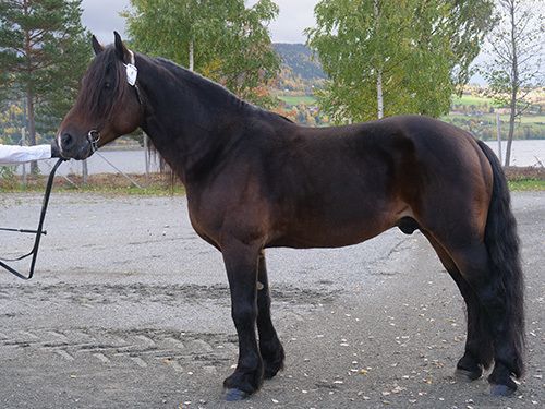 Rigel+Øyvind.jpg