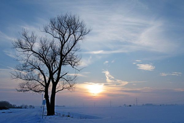 tree-nature-horizon-branch-snow-cold-793295-pxhere.com (1).jpg