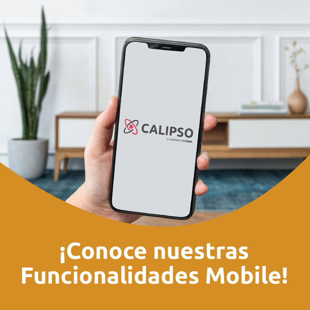 Funcionalidad mobile-01.png