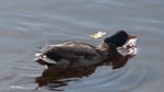 DSC00059.JPG