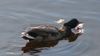 DSC00059.JPG