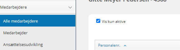 GitteMeyer_0-1676301405023.png