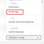 endre tags.png