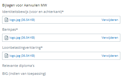 Gillianscholten_0-1677681801736.png