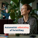 Visma Løn Finans (4).png