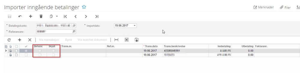 4_2017_06_21_14_52_13_Importer_inngående_betalinger.jpg