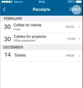 Visma Employee Expense.JPG