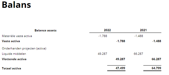 balans rapport-Online Samenstel Assistent -.png
