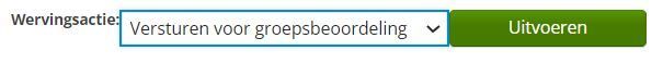 oude groepsbeoordeling.JPG