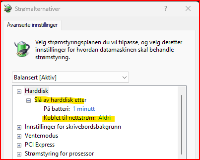 steffenravn_1-1686811740779.png