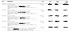 WilliamPuntervold_0-1688562880227.png