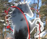 Profils (toimisto1)