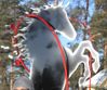 hevonen.jpg