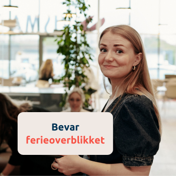 Visma Løn Finans (18).png