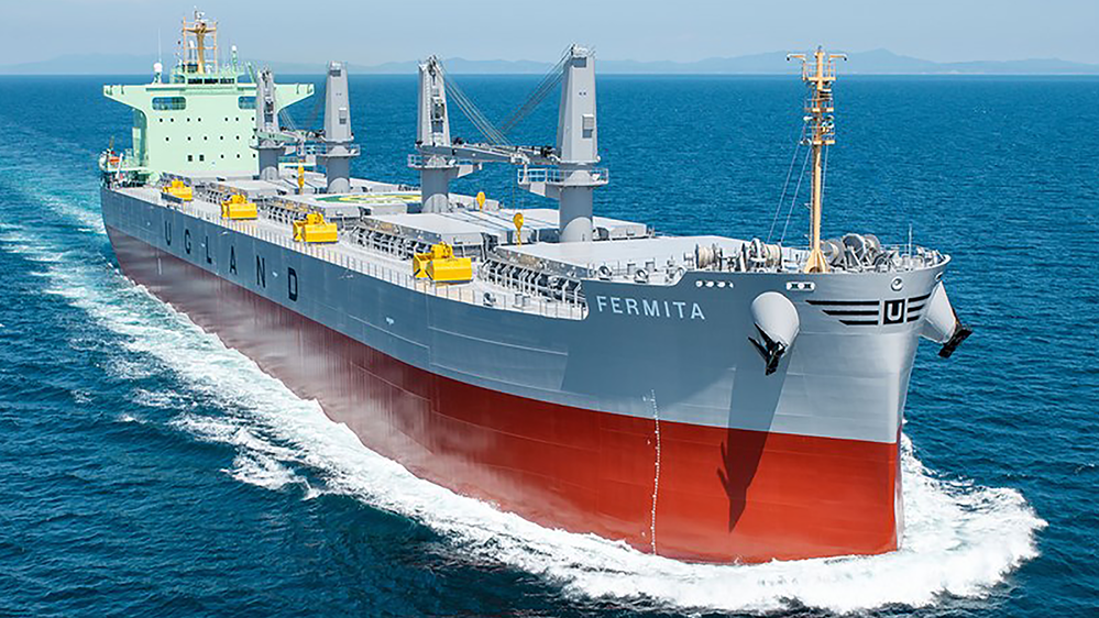 standard_MV_FERMITA-2020.png