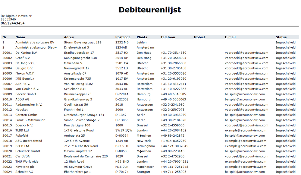 Nieuw rapport debiteurenlijst.png