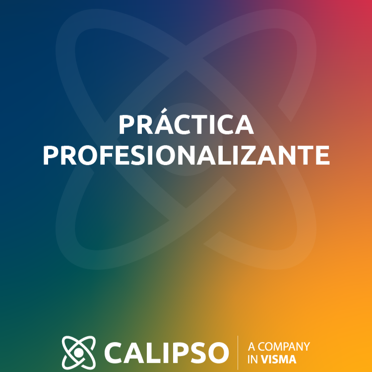 Practica profesional.png