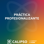 Practica profesional.png