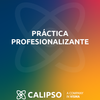 Practica profesional.png