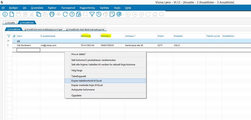 screenshot tabelloppsett ansattopplysninger.JPG