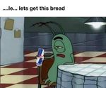 IMG_3876.jpeg