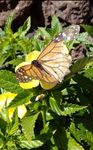 IMG-20180207-WA0007.jpg