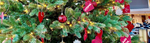 jul.png