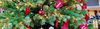 jul.png