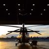 heli.jpeg
