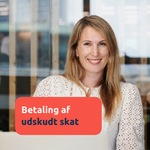 udskudt skat.png