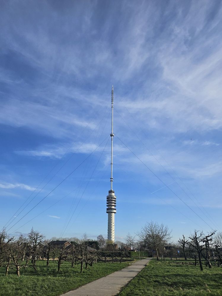 Toren.jpg