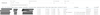 Sermin_2-1713417459155.png