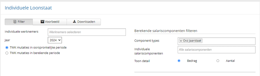 individuele loonstaat.png