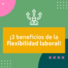 imagen visma 0805.png