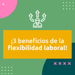 imagen visma 0805.png