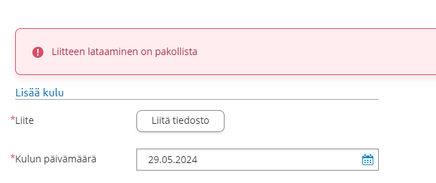 TiinaHiipakka_2-1716984977064.png