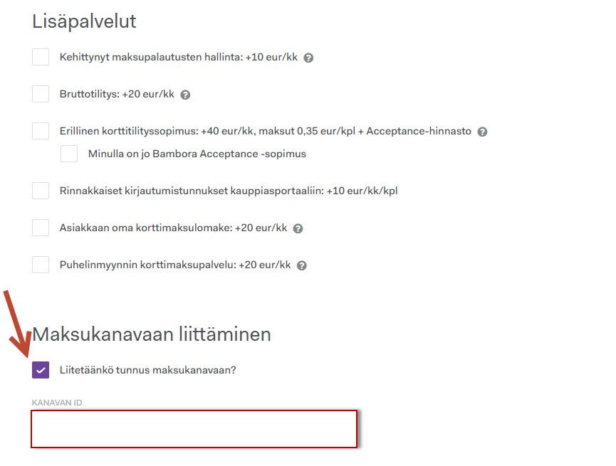 6. lispalvelut ja maksukanava.jpg