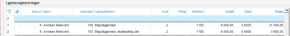 lønnsart 100 1.PNG