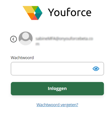 Wijziging manier van inloggen voor VIPS Disburseme... - Visma Community