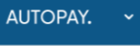 Ny autopay logga nr 2.png