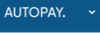 Ny autopay logga nr 2.png
