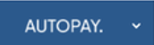 Ny autopay logga nr 2.png