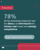 calipso imagen2910.png