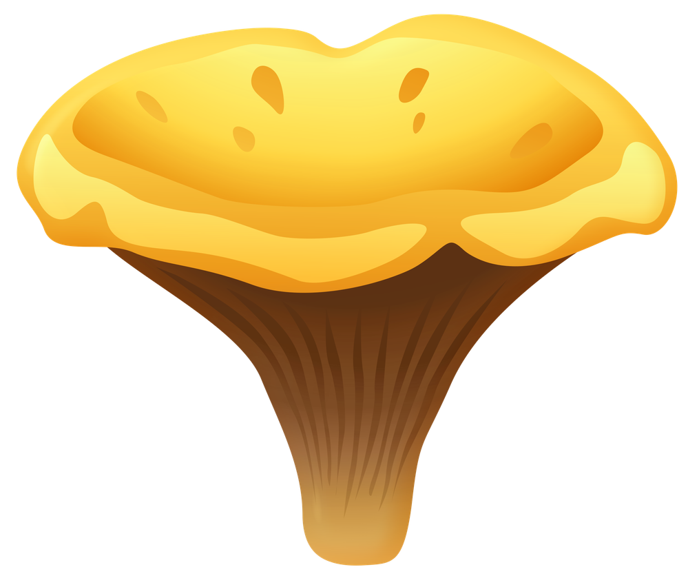 Yelow_Chanterelle_Mushroom_PNG_Clipart-1197.png