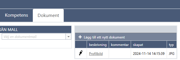 OlofFrom_0-1731590242879.png